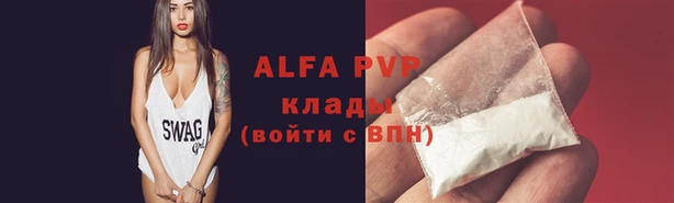спайс Баксан