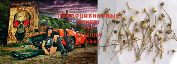 2c-b Балабаново