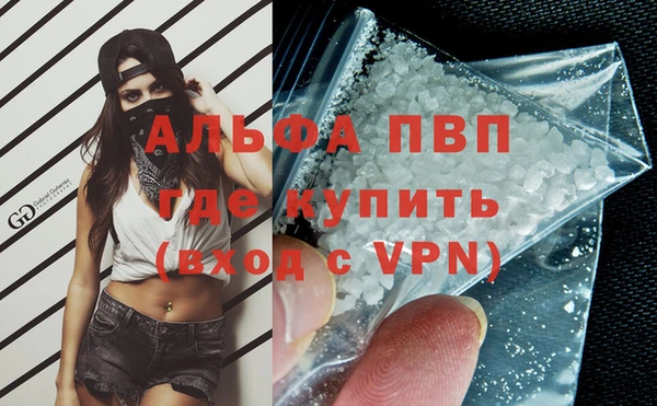 спайс Баксан