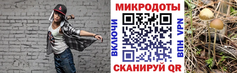 Псилоцибиновые грибы прущие грибы  Горняк 